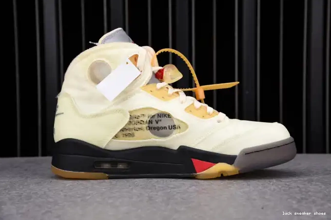 Reps LUCY 5 Jordan Retro DH8565-100 OFF-WHITE Sail 0624